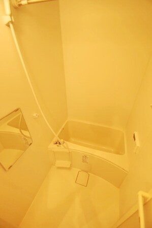 アザーレ・パッシオ生田Aの物件内観写真